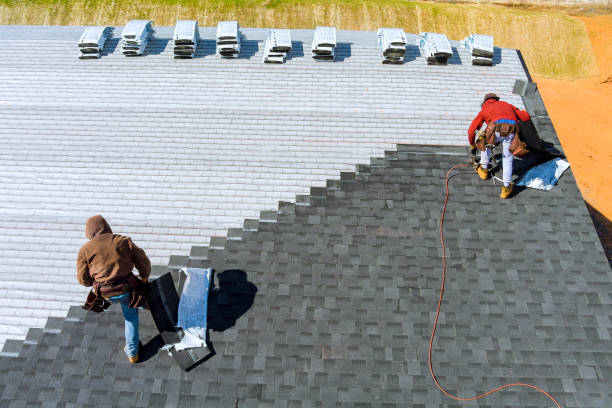 Best Local Roofing Companies  in South Monroe, MI