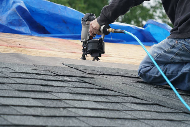 Roof Gutter Cleaning in South Monroe, MI