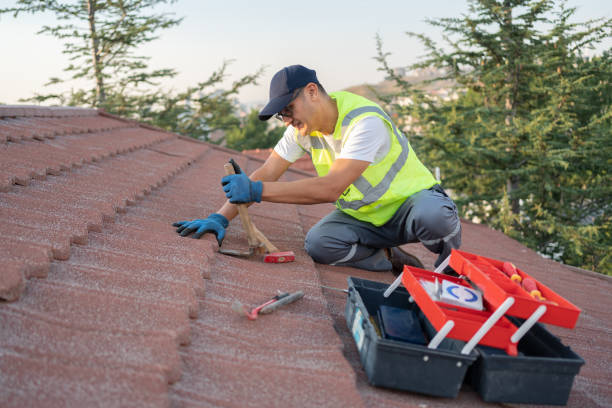 Best Best Roofing Contractors  in South Monroe, MI