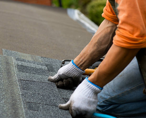 South Monroe, MI Roofing Contractor Company