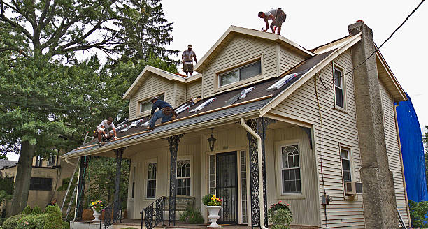 Best Roof Restoration Services  in South Monroe, MI